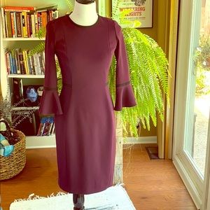 Elegant and dramatic Calvin sheath